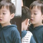 [세븐틴] 원우볼때 나만이러나