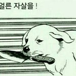 3일째새벽판...