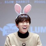 [방탄소년단] 아미들 미리보기사진해서 ㅇㄱㄹ <b>퇴치</b>하자