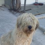 [EXO] 멤버별로 조련의 특징.txt