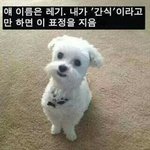 [드루와] 웃긴짤<b>공유점</b>~~✮