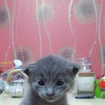 <b>러블</b> 아가들^^