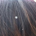 [댓글부탁해] <b>시바</b> 망가진폰 홈화면에 야동사이트 쫙인데