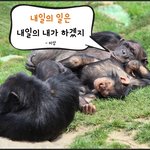 [펀펀펀] 원숭이해를 여는 현실적인 <b>명언</b> 10가지~