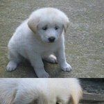 요즘 뭔가 <b>씁쓸</b>하다