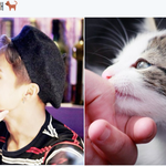 [시우민] 민석이 닮은 이쁜 소<b>동물들</b> 2016년에도 쭉쭉!(시우민)