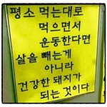 다이어트의 간단한 <b>진리</b>