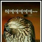 [EXO] 민석이 올해 27살인데 아육대 나간다고?!