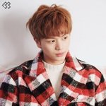 [댓글부탁해] 큐브아이돌 그룹별 비주얼
