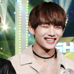 [방탄소년단] <b>진정</b>진정