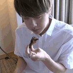 [방탄소년단] 헤엥?저글가지말구<b>사스</b>가김석진보쟈