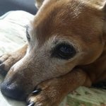 12살 별아6살 <b>하늘</b>(2)
