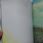 [방탄소년단] ㅅㄷ)이삐들 이거 한번만 봐줘ㅜㅜ