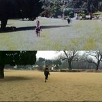 [방탄소년단] 이게<b>일</b>년전휴간데