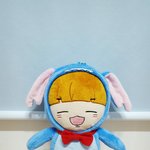 [인피니트] ㅅㄷ) 내 첫 인형왔어!!