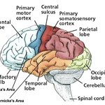 [칠리새우] 가위 눌렸던 경험담 + 푸는법