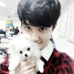 [EXO] 경수 으르렁때 머리에다가 회색가자 헤<b>디야</b>