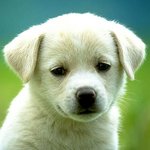 ⬆내일 친구가 <b>엽떡</b>사준다고 나와라함