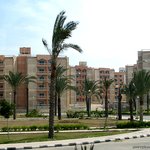 [40075] [이집트]알렉산드리아, 지중해와 대도서관의 추억