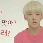 [세븐틴] 이거뭐야ㅋㅋㅋㅋㅋㅋㅋㅋㅋㅋㅋㅋㅋㅋㅋㅋㅋㅋㅋㅋㅋㅋ