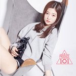 [댓글부탁해] 다이아 <b>탈퇴</b>한 애라는데