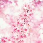 [<b>흑</b>댓글좀<b>흑</b>] 얘들아 재밌게 본 영화 추천좀!