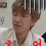 [세븐틴] 짹짹이