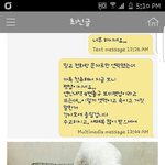 분양받아보셨나요? 도와주세요