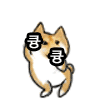 [EXO] <b>님</b>들 큥나잇❤