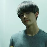 [EXO] 부이앱에서 애들이댓글한번읽어주고 대답한거가지고 축하해달라니...