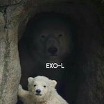 [EXO] 아갑자기 <b>눈물남</b>