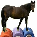 [EXO] 아무말이나 보내기 <b>실탄</b>말이야!!!!