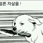[EXO] 지금 엑소팬지분율 고딩이 젤 많음