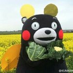 [방탄소년단] ㅅㄷ이삐들공카어때?