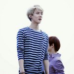 [EXO] 세훈이어깨 개좋아