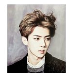 [EXO] 오세후니이거보고쓰벌개<b>탄식</b>함
