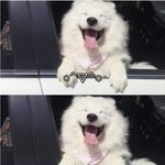 아이돌팬들이 한마음으로 폐지되길 바라는 프로그램 <b>TOP</b>2(예상됨주의)