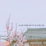 [방탄소년단] ㅅㄷ 방탄 가사 배경 놓고 갑니당
