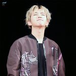 [세븐틴] <b>무도</b>엑스포