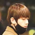 [백현] 백현이 <b>공항</b> 고화질