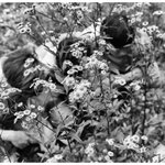 너네 지금 카톡<b>배사</b> 뭐야?