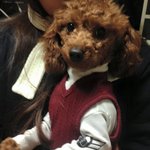 우리집막내 <b>도도</b>한 박춘삼