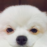 [닉넴부탁해] 애들아 나 <b>서든</b> 닉넴추천좀