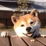 눈<b>정화</b> 하고가 ㅎㅎ