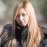 사나랑 <b>사막</b>여우