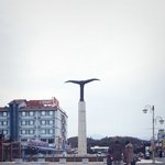 [세븐틴] 사담/셉틴관련 <b>반반</b>)근데 나 낚임