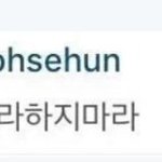 [EXO] 황금<b>막내</b> 니네나 쓰고 우리꺼나