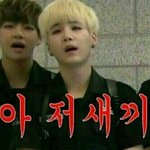 [방탄소년단] ㅅㅂ지금 천일염애들