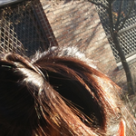 [EXO] 시크릿 <b>투톤</b> 비슷하게햤는대 개망함