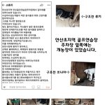 [<b>동행</b>세상] 식용견이 아닌 반려견입니다.